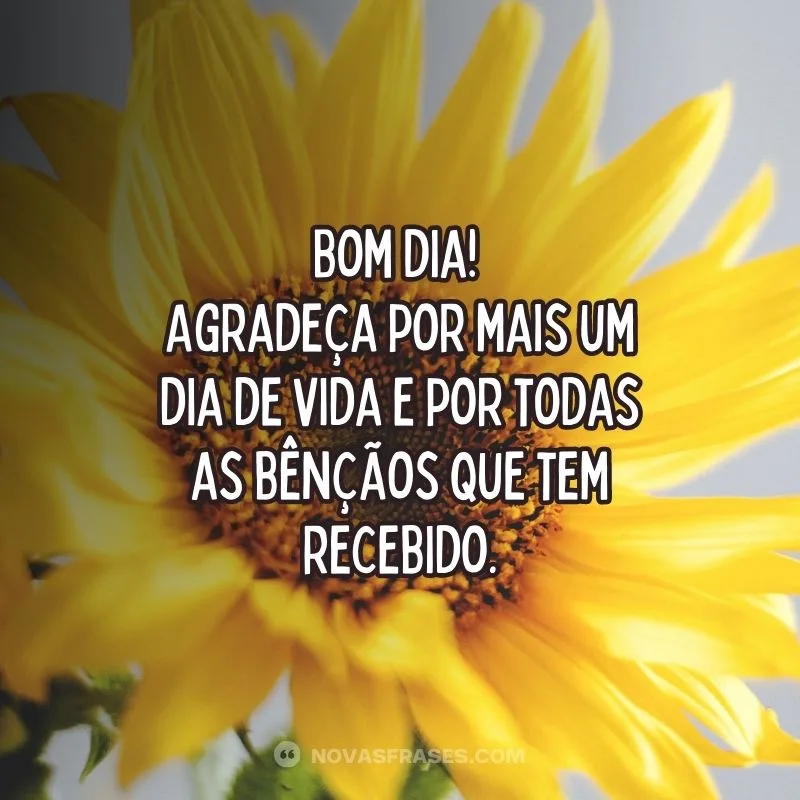 Agradeça por mais um dia de vida, bom dia