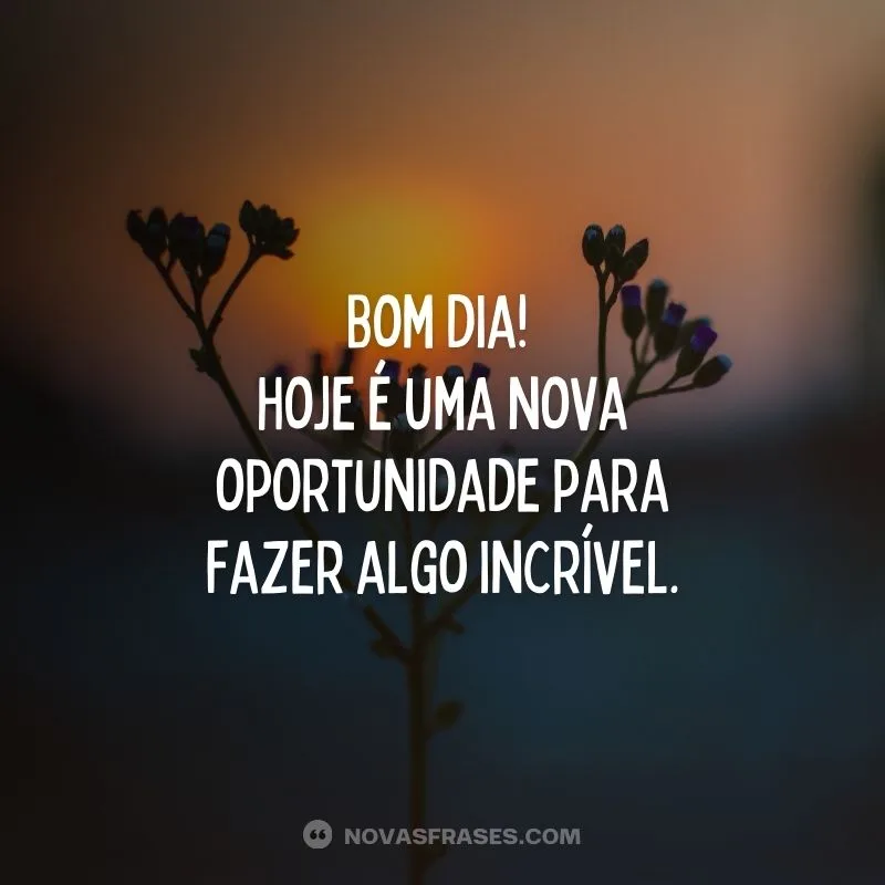 Bom dia, hoje é uma nova oportunidade para fazer algo incrível