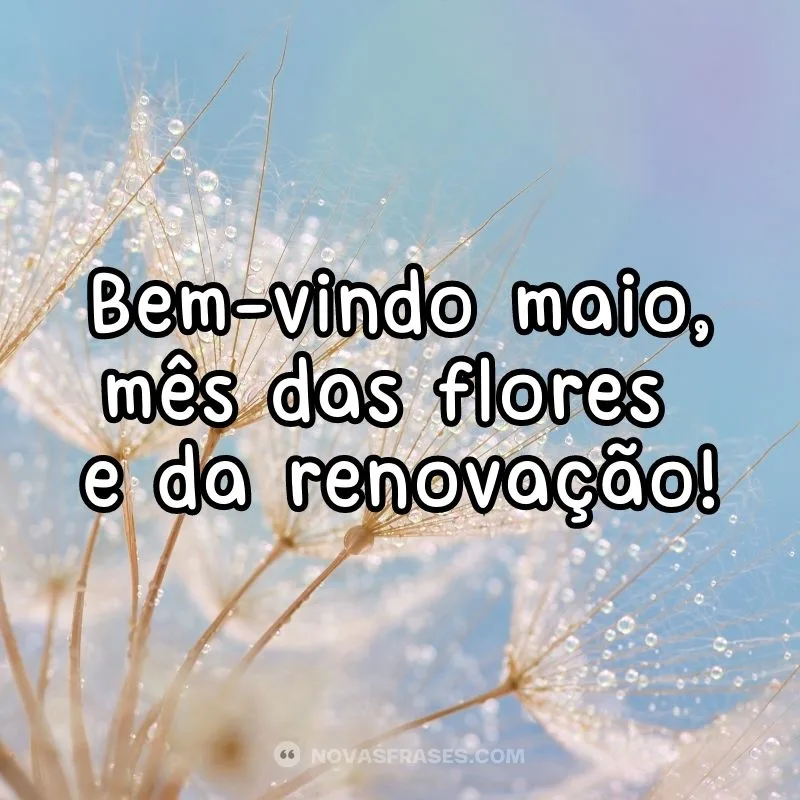 Maio, mês das flores e da renovação