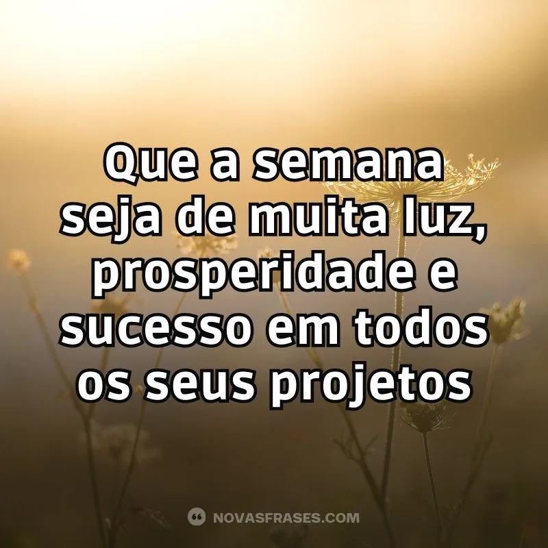 boa semana a todos