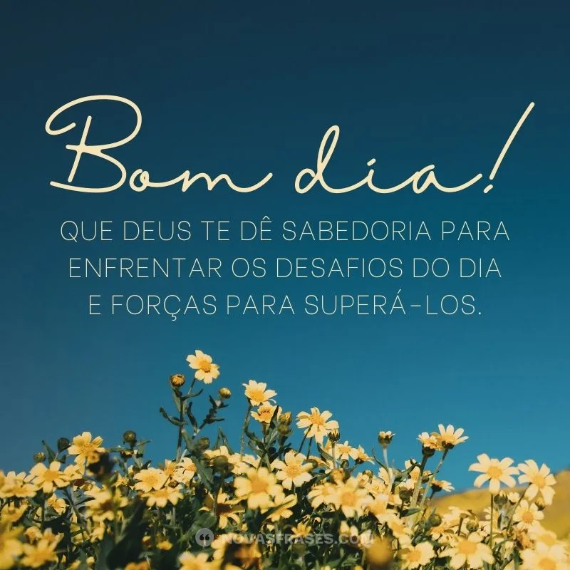 bom dia com a sabedoria de deus