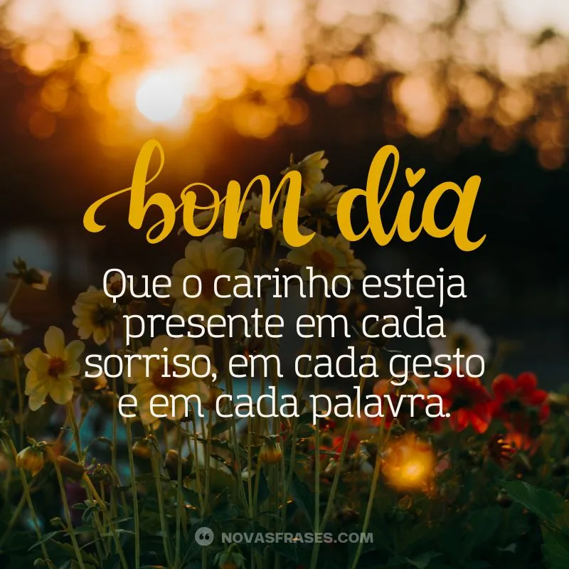 bom dia com carinho