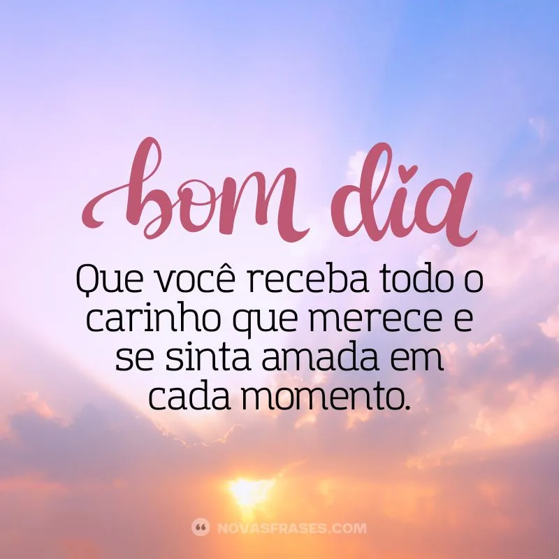 bom dia recebendo carinho
