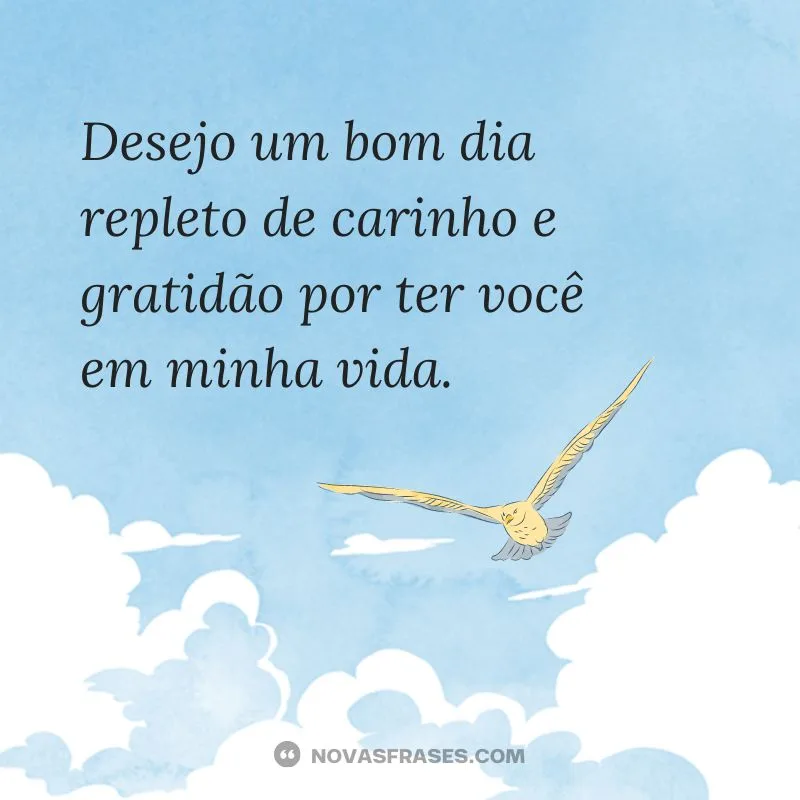 bom dia repleto de carinho e gratidão