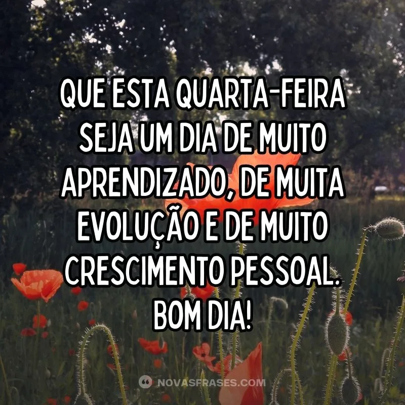 frase bom dia quarta feira