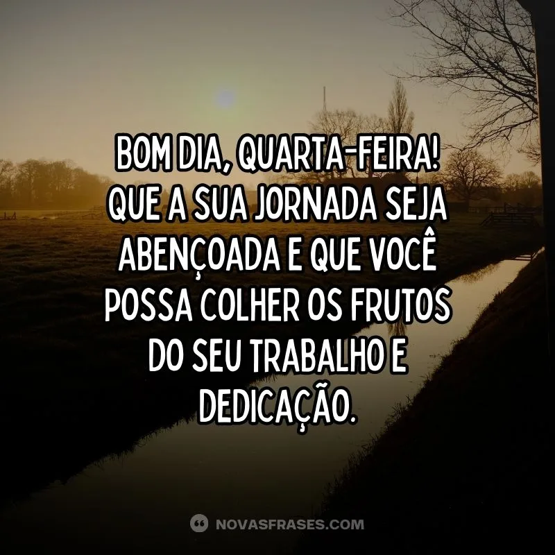 frases bom dia quarta feira