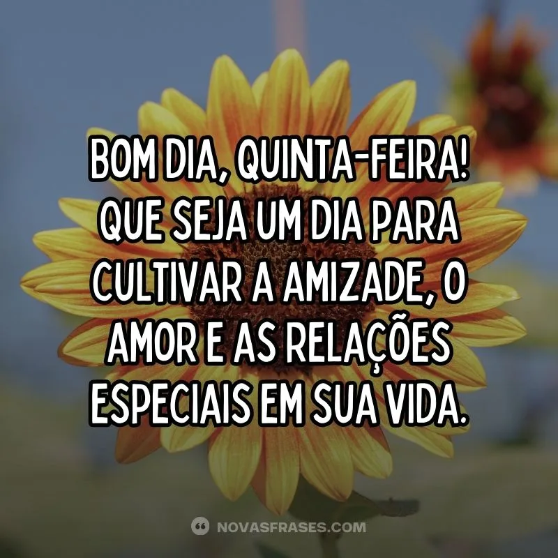 imagem bom dia quinta feira