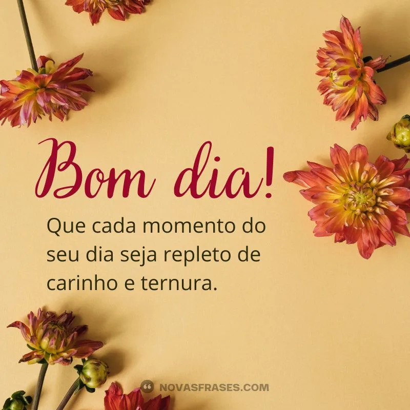 mensagem de bom dia com carinho para whatsapp