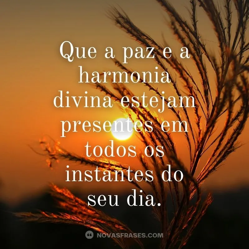 que deus te abençoe bom dia