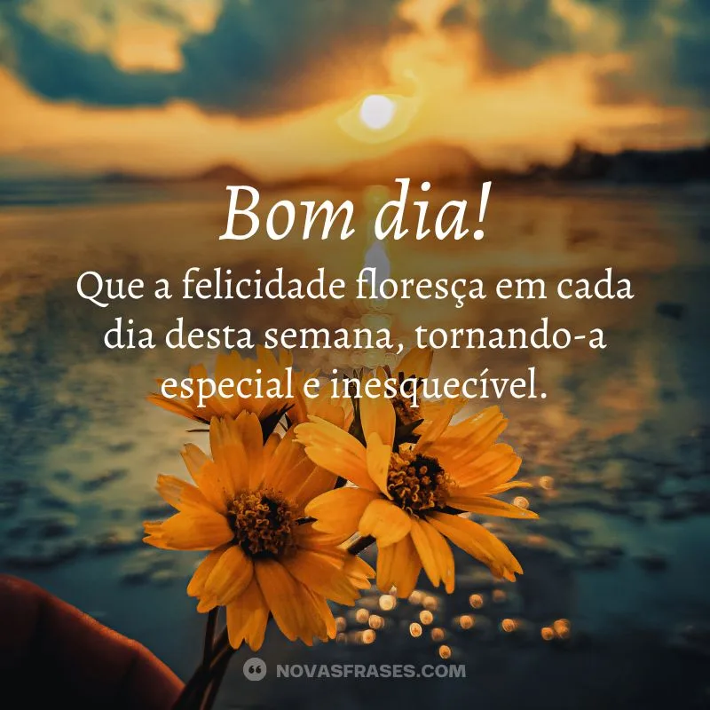 boa semana bom dia abençoado