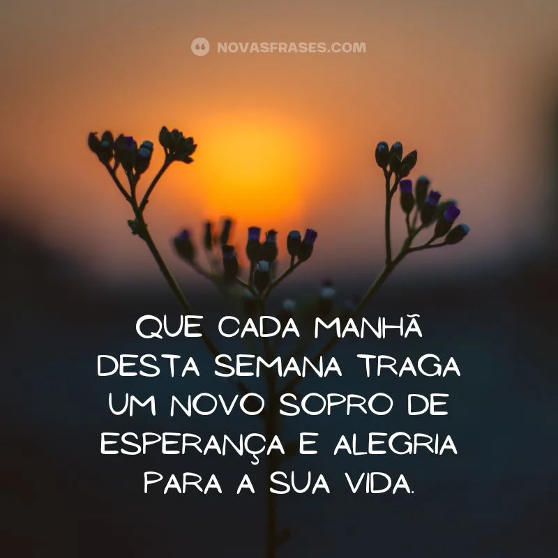 bom dia boa semana abençoada