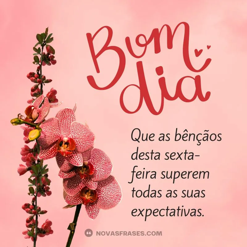 bom dia sexta frases