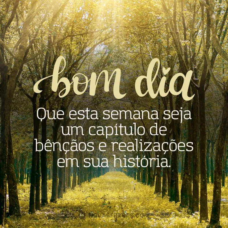 mensagem de bom dia segunda feira e boa semana