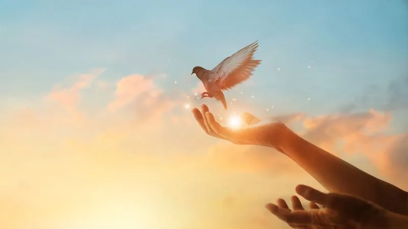 Bom dia, Sexta-feira abençoada: 50 frases com imagens