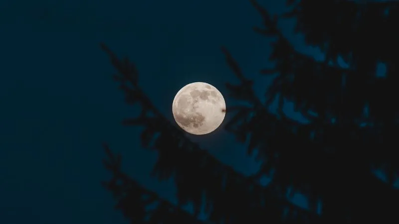 Boa noite, bom descanso: 60 frases com imagens