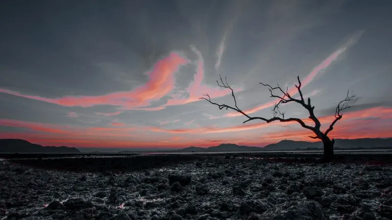 Boa noite com Deus: 75 frases para uma noite abençoada