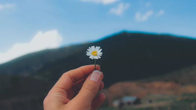 Boa tarde abençoada: 55 frases para renovar sua fé