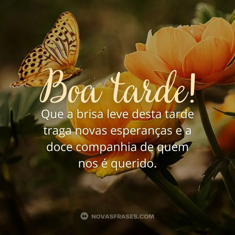 boa tarde em frases