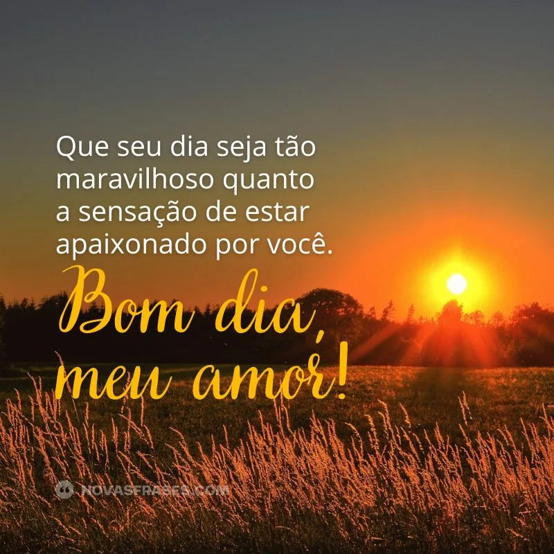 bom dia amor frases