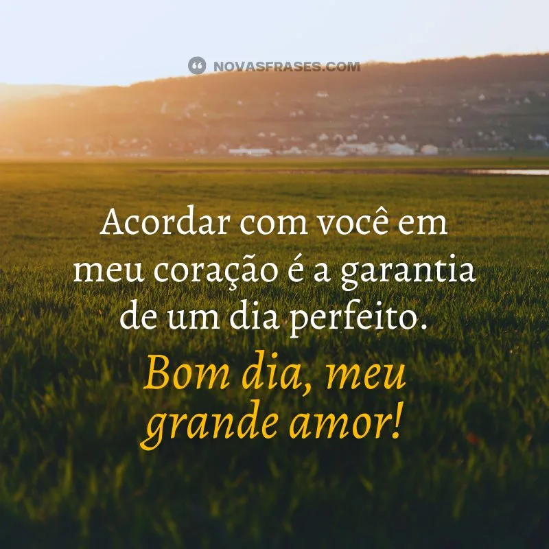 bom dia meu amor te amo
