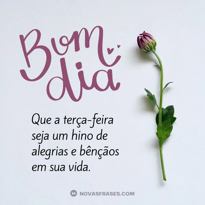 Bom Dia Terça Feira Abençoada 30 Frases Com Imagens Bom Dia Terça Feira Abençoada 30 Frases Com Imagens