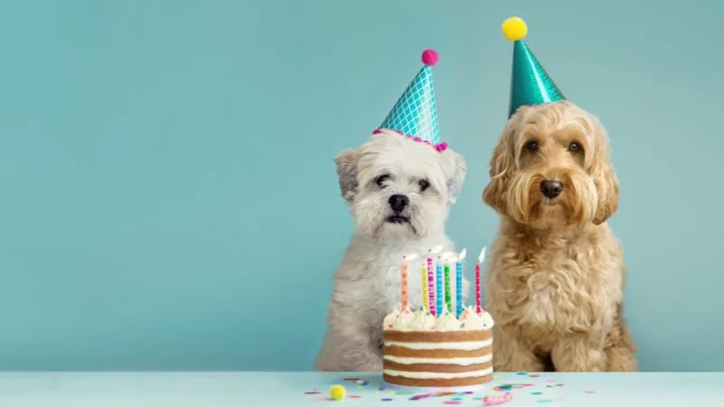 55 frases de feliz aniversário para tio