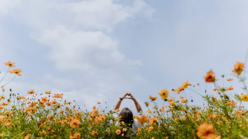 Parabéns, feliz aniversário: 50 frases para comemorar
