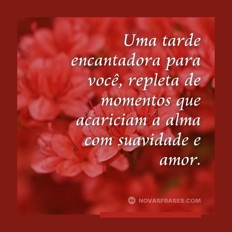 frase boa tarde com carinho