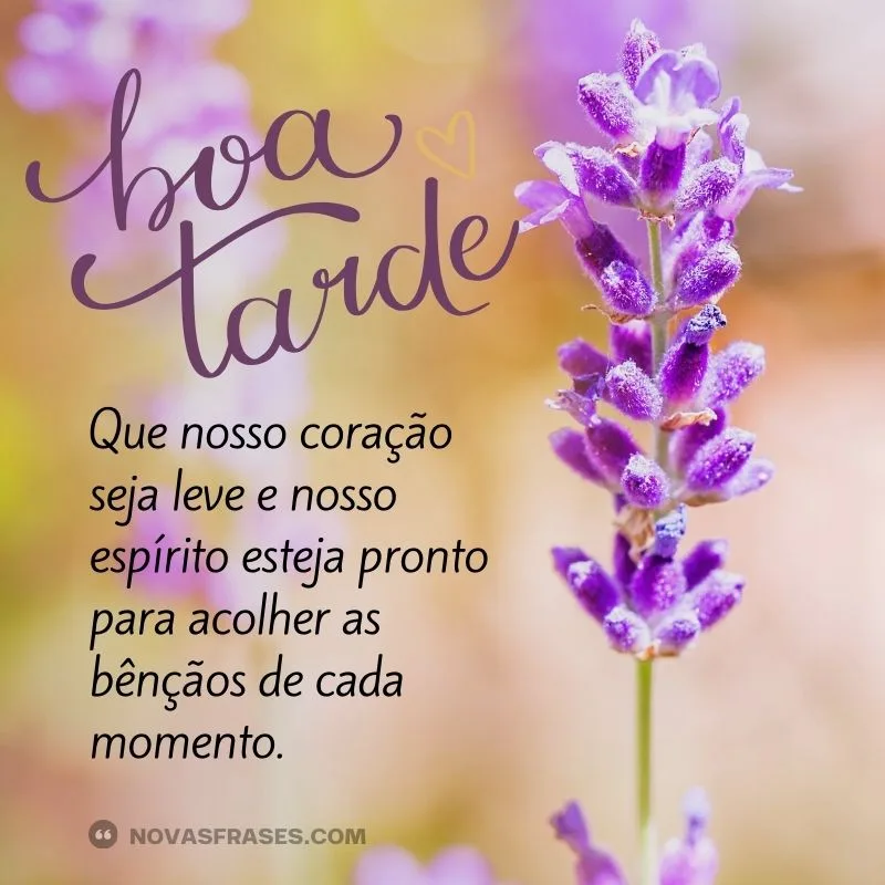 frase de boa tarde com carinho