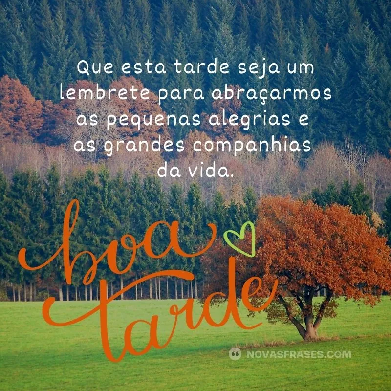 frases de boa tarde com carinho