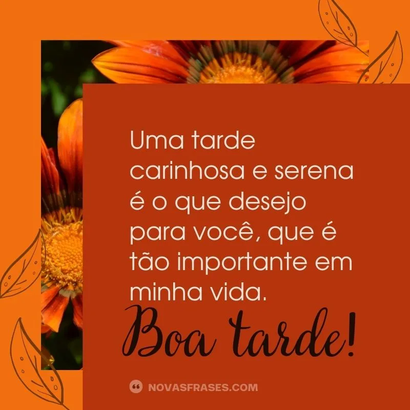 frases de boa tarde com carinho