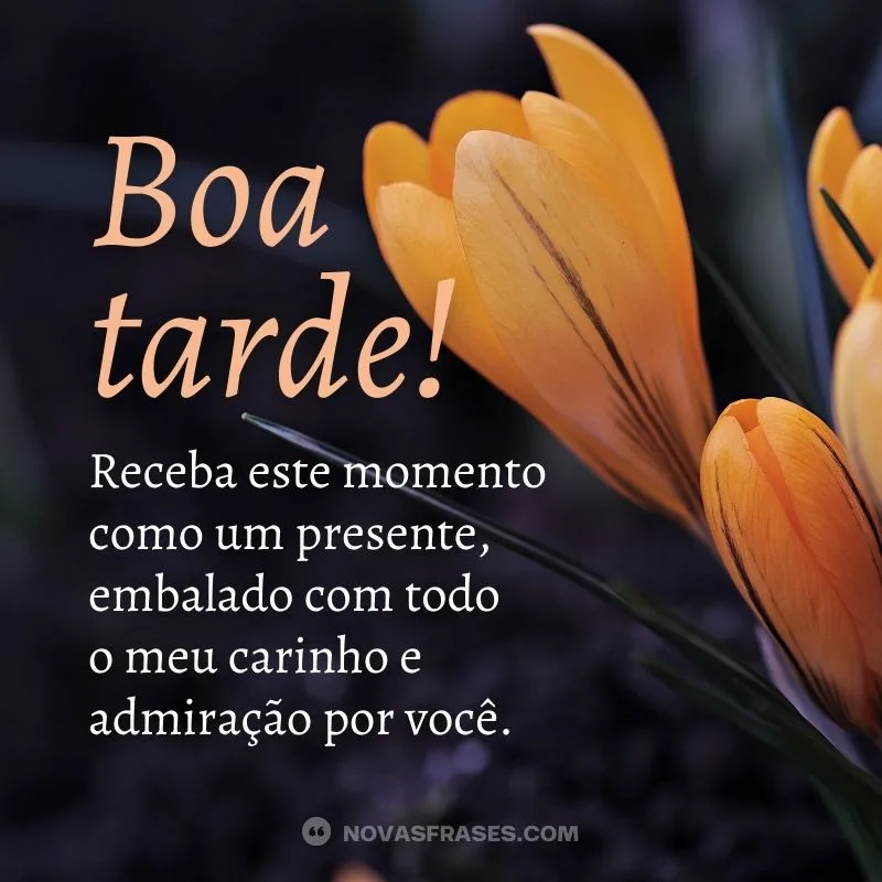 imagens de boa tarde com carinho