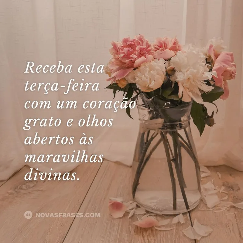 mensagem de bom dia terça-feira abençoada