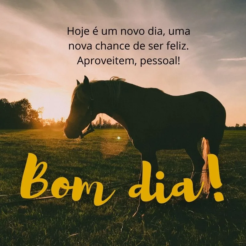 mensagem de bom dia whatsapp