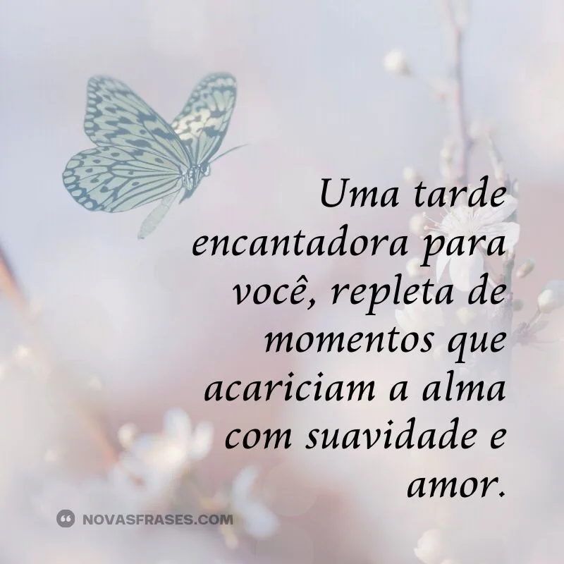 mensagem e frases boa tarde