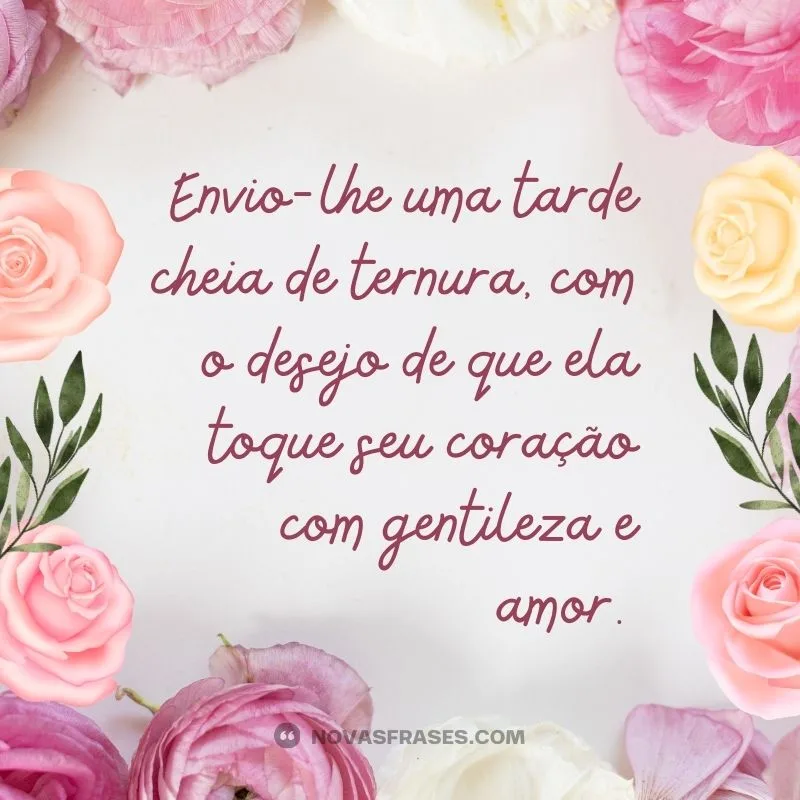 msg boa tarde com carinho