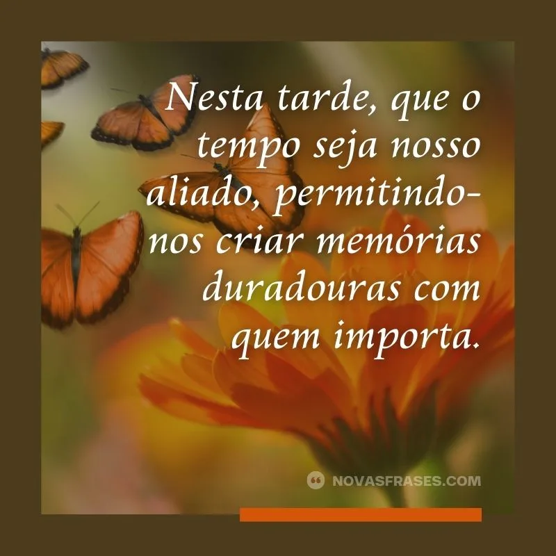 nova frase de boa tarde