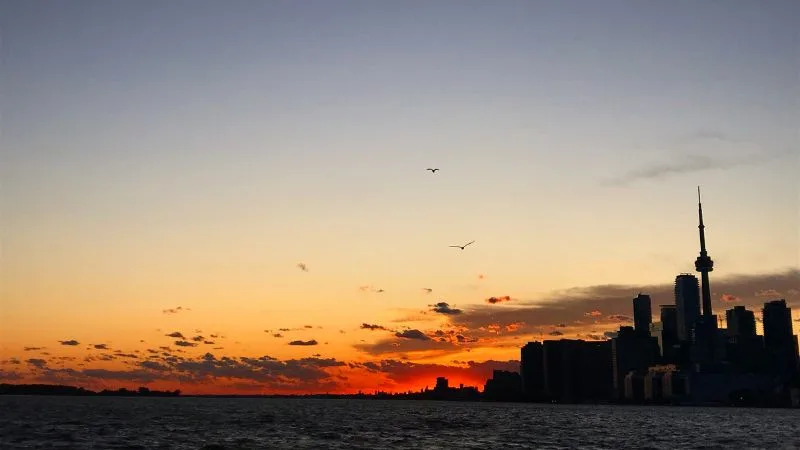 40 mensagens de boa tarde com imagens