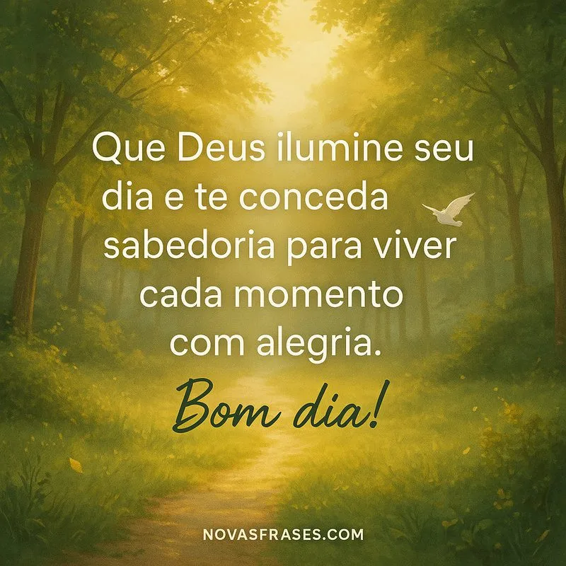 bom dia com deus e sabedoria