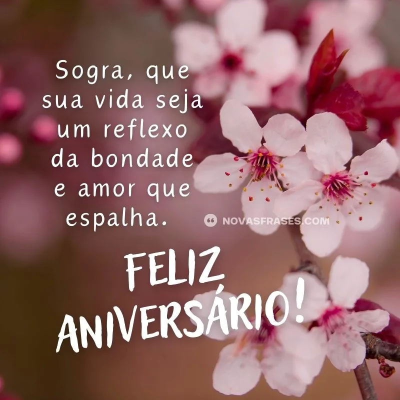 feliz aniversário pra sogra