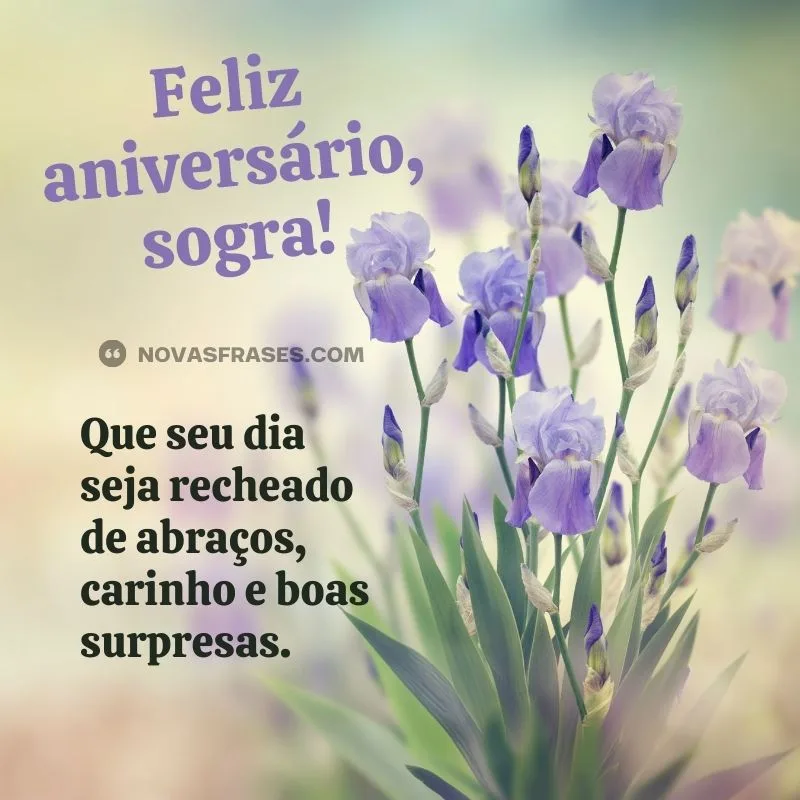 feliz aniversário sogra tumblr