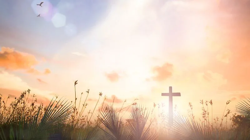 Domingo de Ramos: 30 mensagens para iniciar a Semana Santa