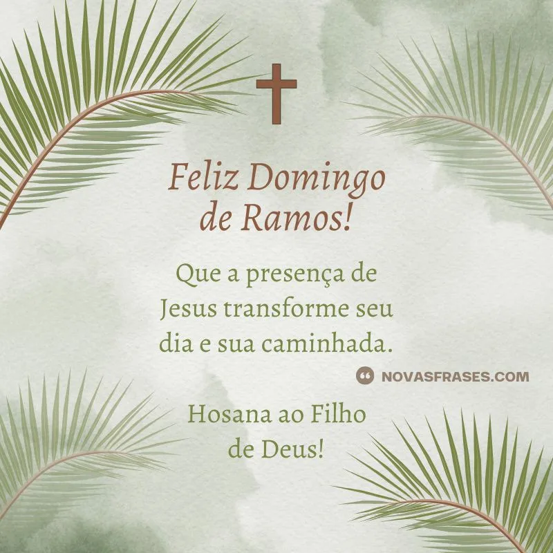 msg domingo de ramos
