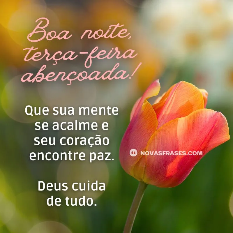 boa noite terça-feira abençoada