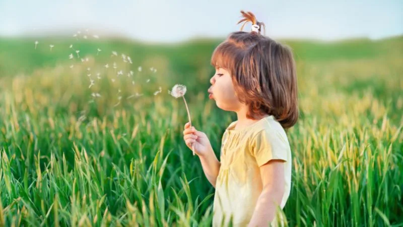 35 mensagens para um bom dia de quinta-feira