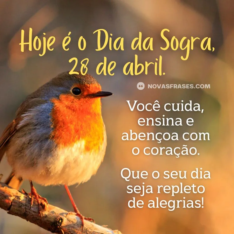 dia da sogra, 28 de abril
