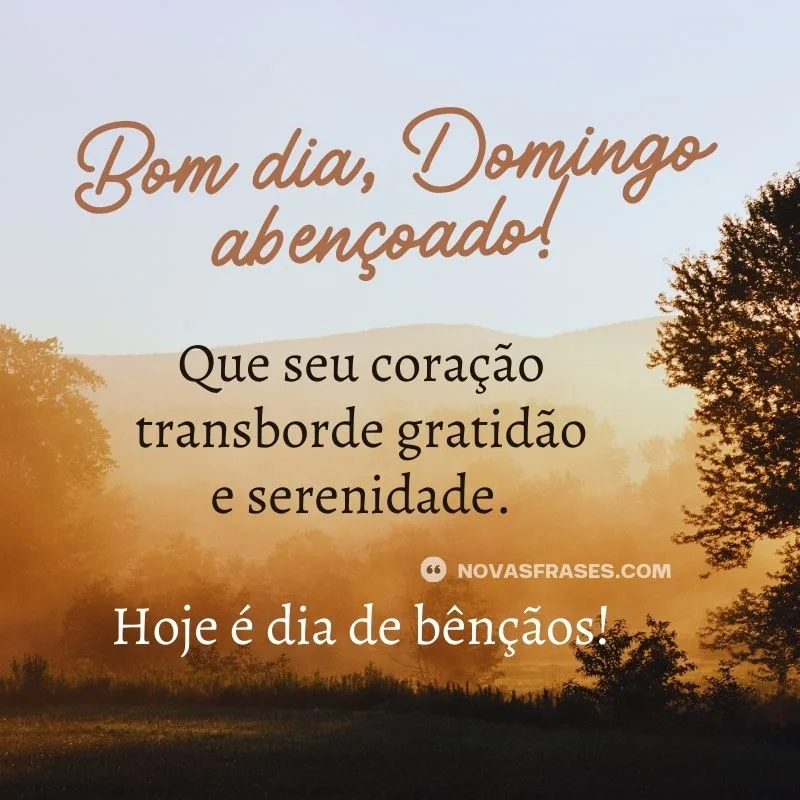frase bom dia domingo