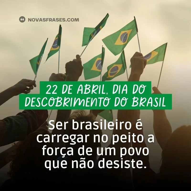 frase descobrimento do brasil