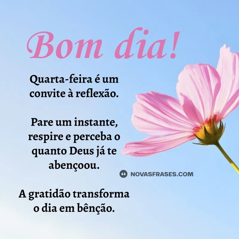 bom dia quarta-feira reflexão​