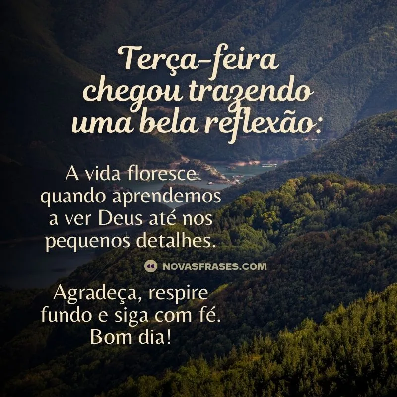 bom dia terça-feira reflexão